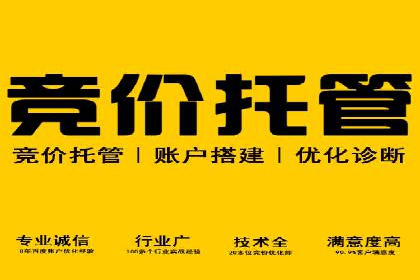 SEM托管代运营案例：打造高效营销体系